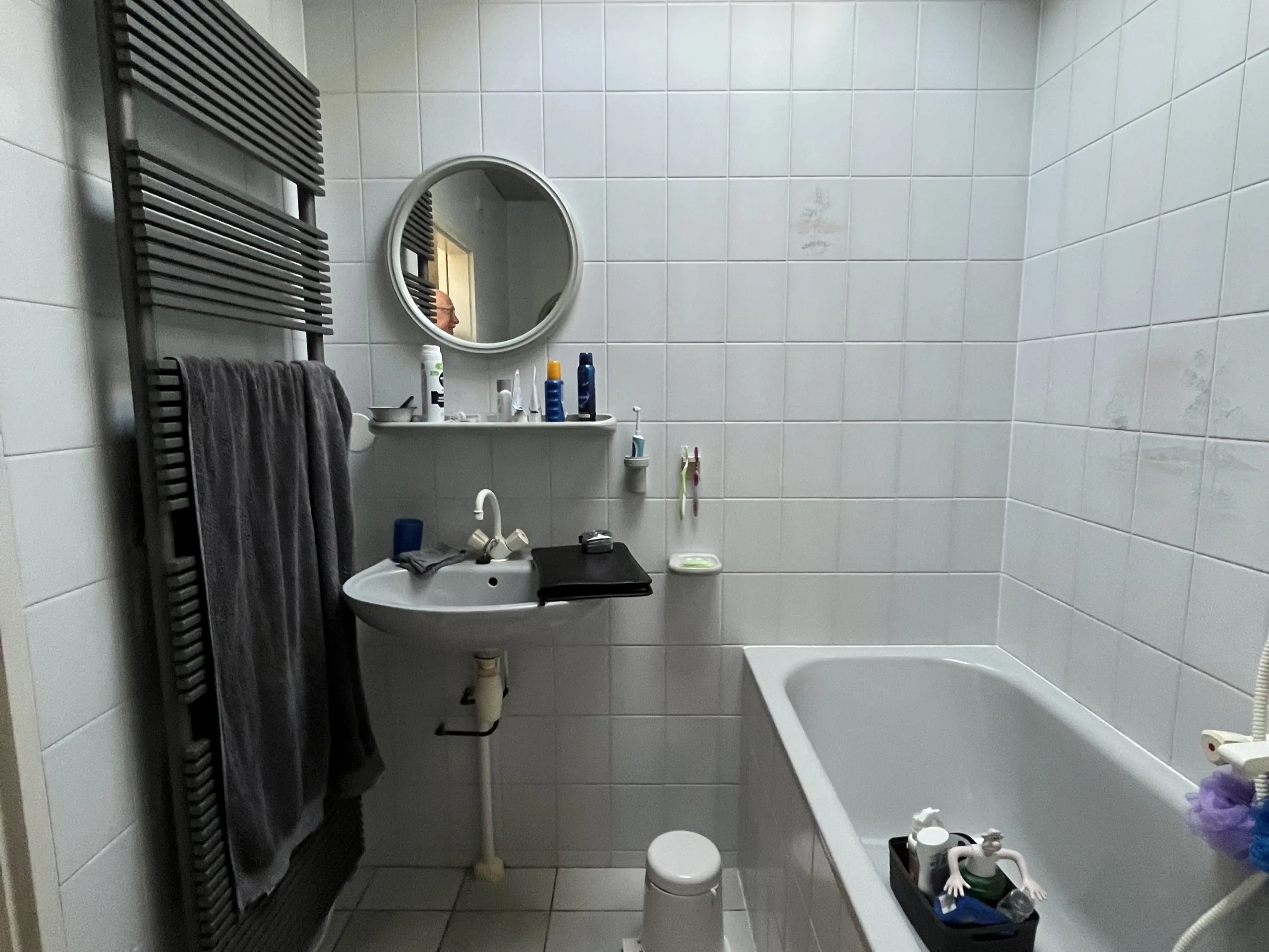 Voor de renovatie – Badkamer licht grijs & antraciet stroken