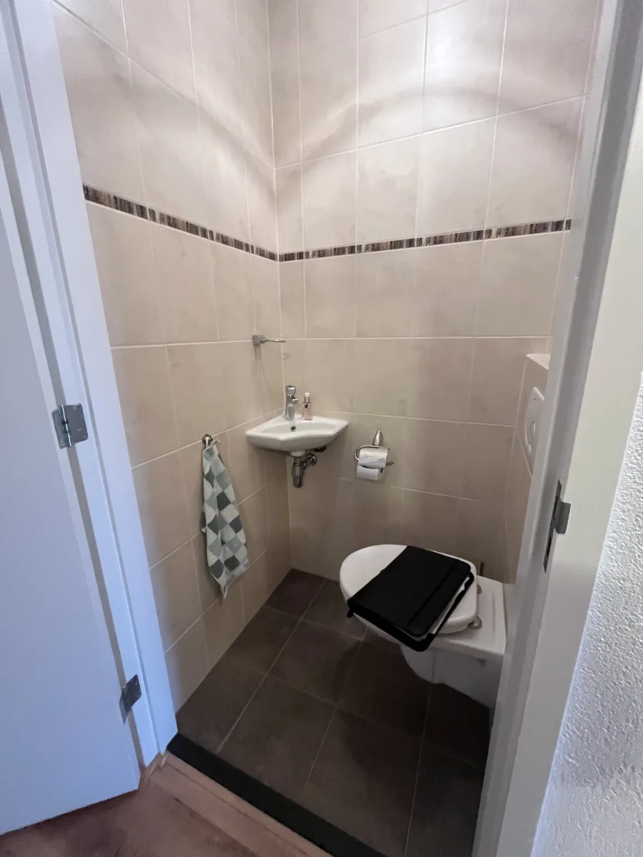 Gastentoilet tegel 120×60 – modern stijl – Veenendaal (foto 5)