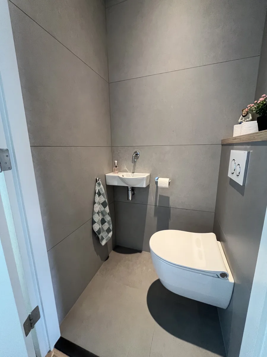 Gastentoilet tegel 120×60 – modern stijl – Veenendaal (foto 4)