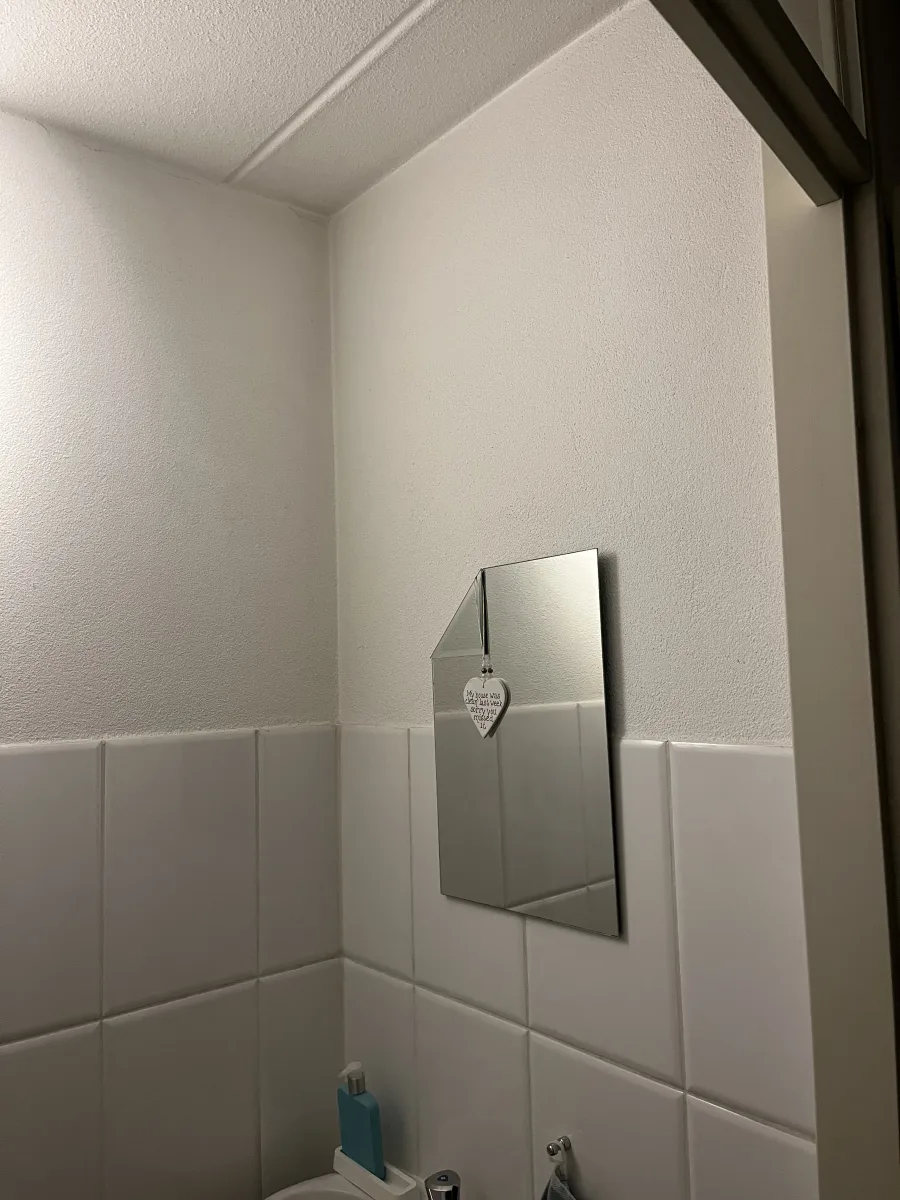 Gastentoilet Ede – modern stijl – Ede (foto 5)