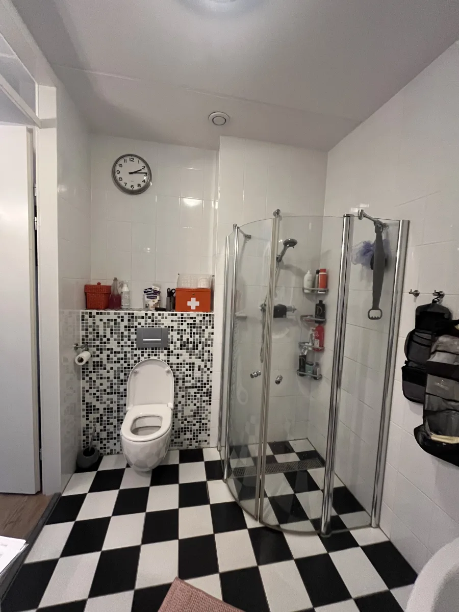 Badkamer met boetiek sfeer en Portugese tegels – karakteristiek stijl – Amersfoort (foto 22)