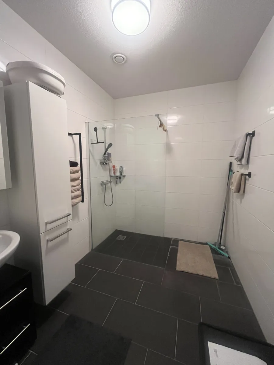 Rookglas, rvs-paal tot plafond en grote tegels: badkamer in Rhenen – modern stijl – Rhenen (foto 15)