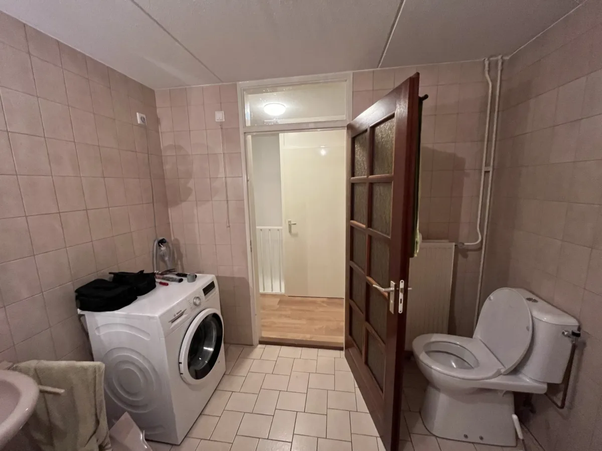 Badkamer met back to wall bad en wasmachine – modern stijl – Renkum (foto 14)