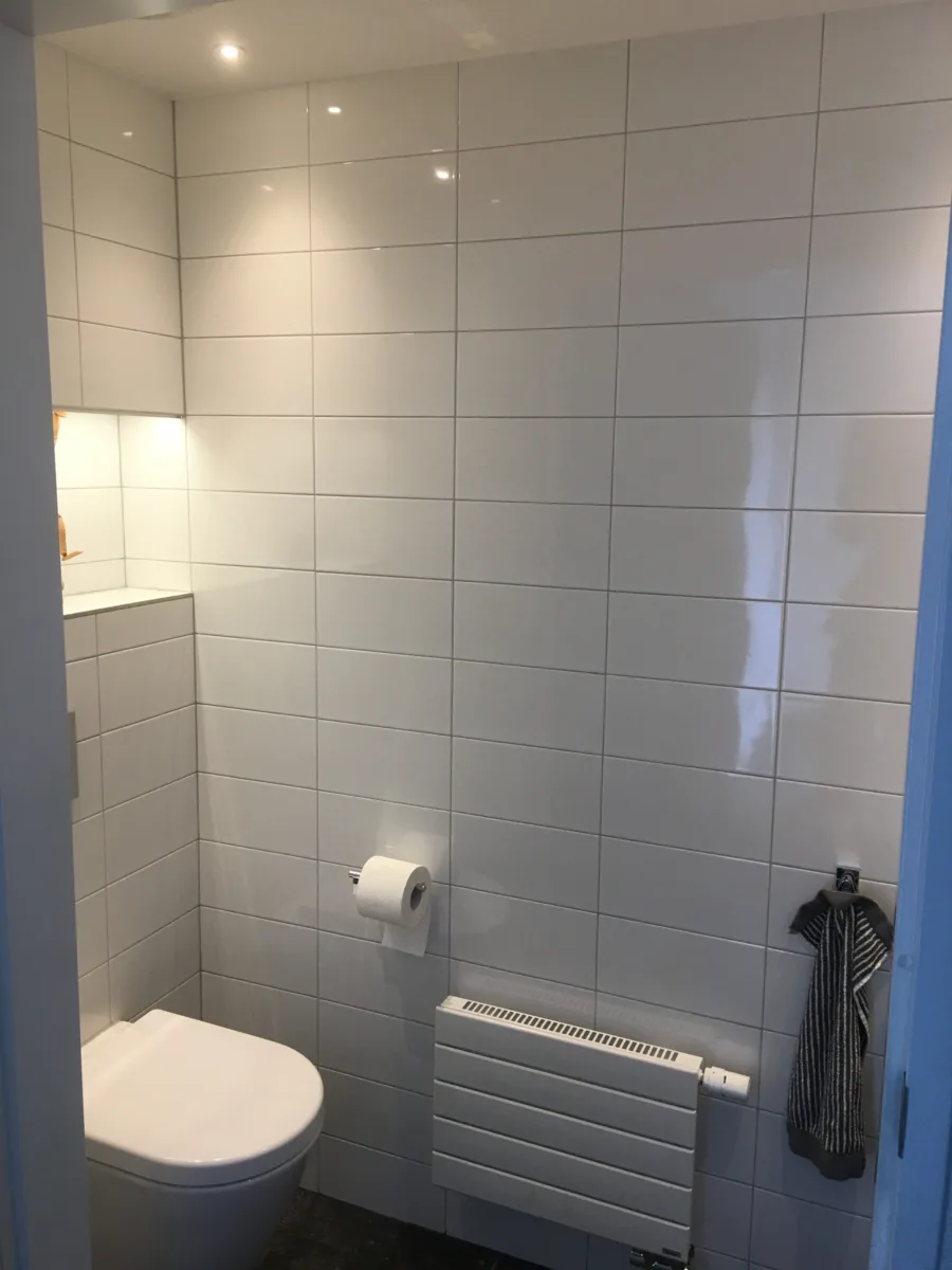 Ontwerp royale toiletruimte – basis stijl – Veenendaal (foto 3)
