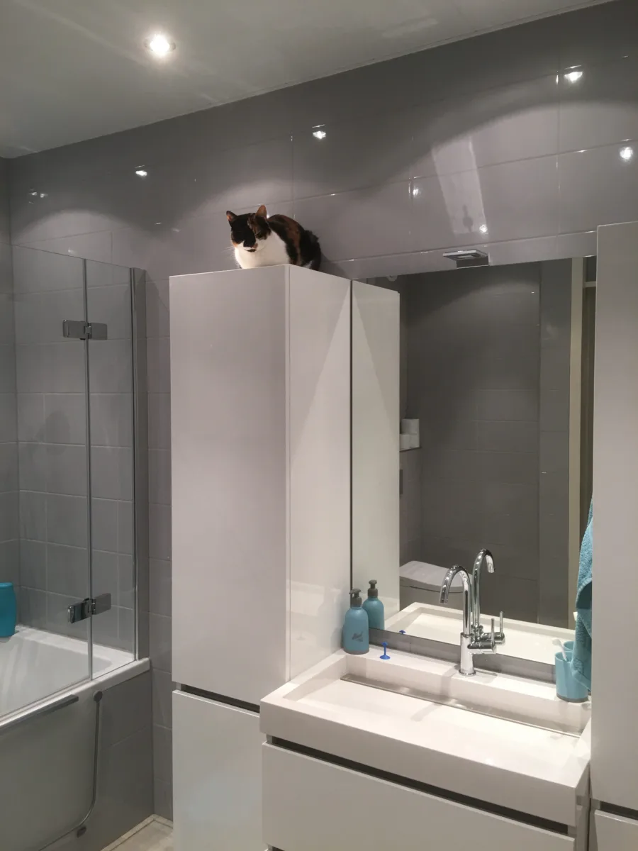 Badkamer met inloopbad-douche (bad met deur) – badkamers met hout stijl – Doorwerth (foto 7)