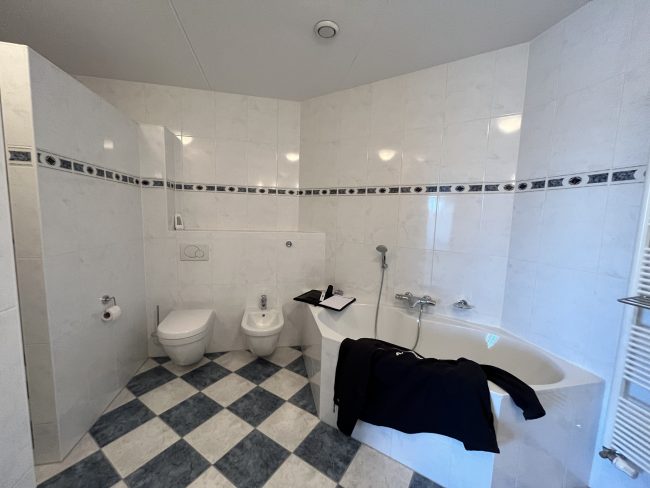 Royale sunshower badkamer met Geberit Mera douche-wc – modern stijl – Bemmel (foto 11)