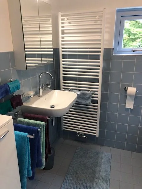 Blauwe ergonomisch badkamer met wasmachine