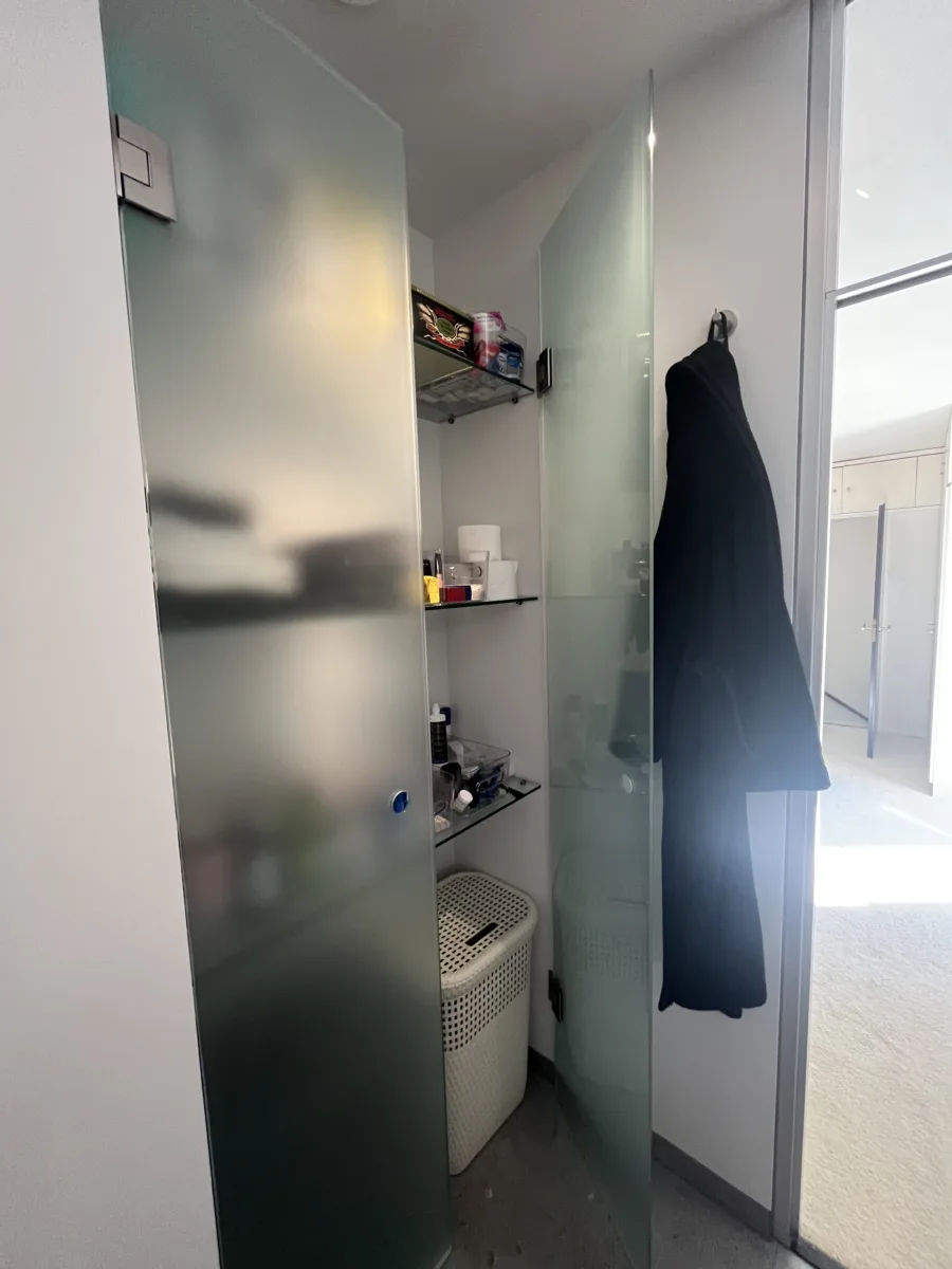 Badkamer met glazen inloopdouche tot aan het plafond – modern stijl – Doorwerth (foto 11)