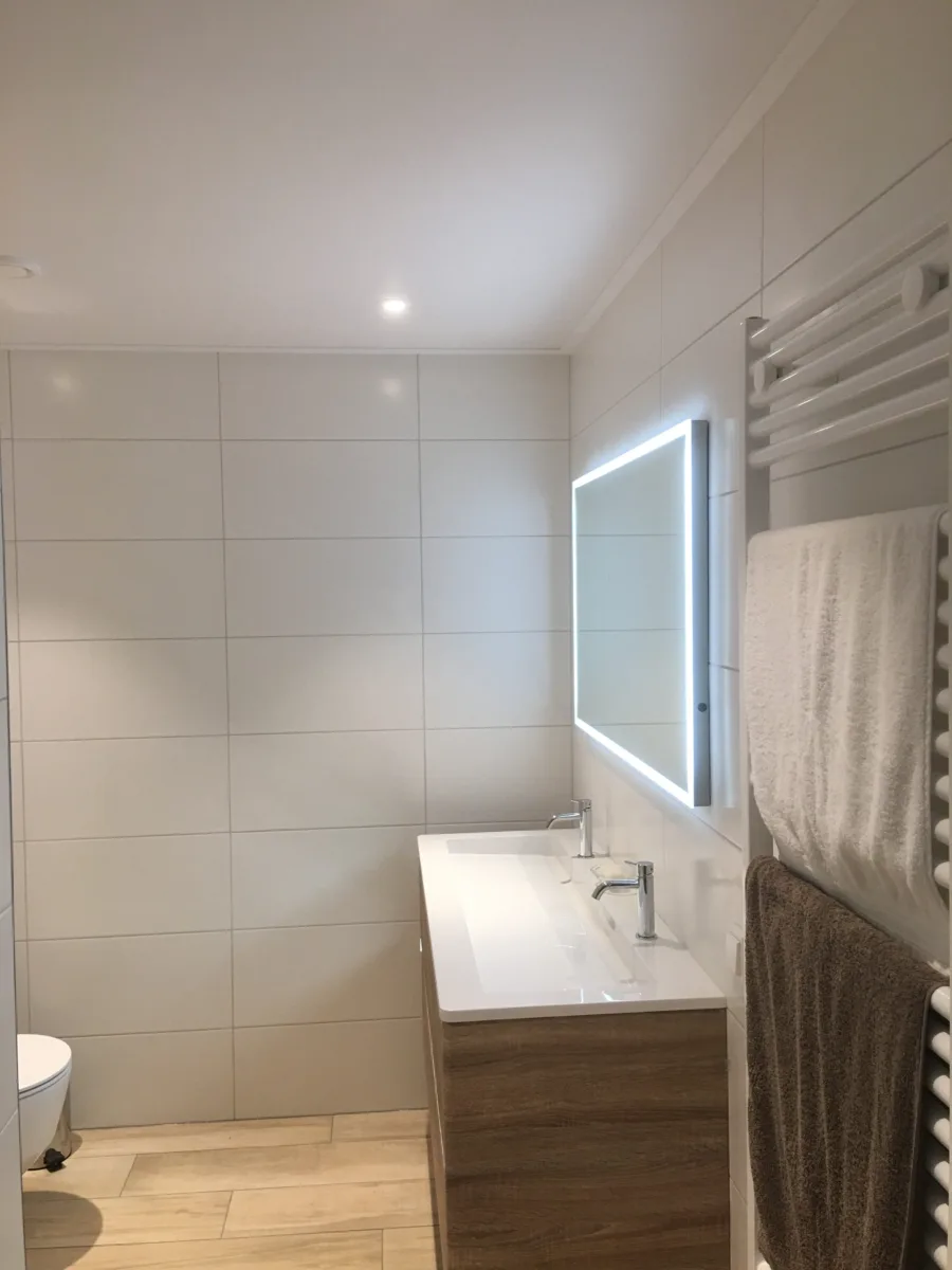 Toilet toevoegen in nieuwe badkamer (renovatie) – modern stijl – Nieuwegein (foto 4)