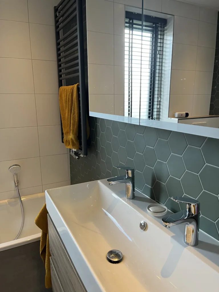 Badkamer 70 cm vergroot, werkkamer verkleind – mozaïek – visgraat stijl – Buren