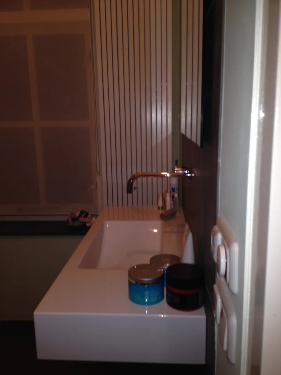 Stoomdouche met rond glasdeel en glazen dak – wellness stijl – Barneveld-Kootwijk (foto 4)