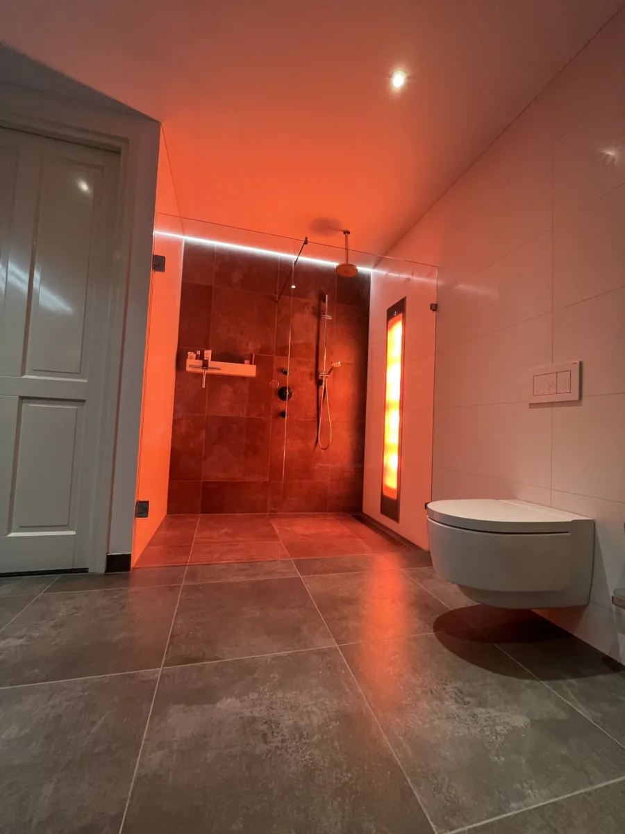 Royale sunshower badkamer met Geberit Mera douche-wc – modern stijl – Bemmel (foto 2)