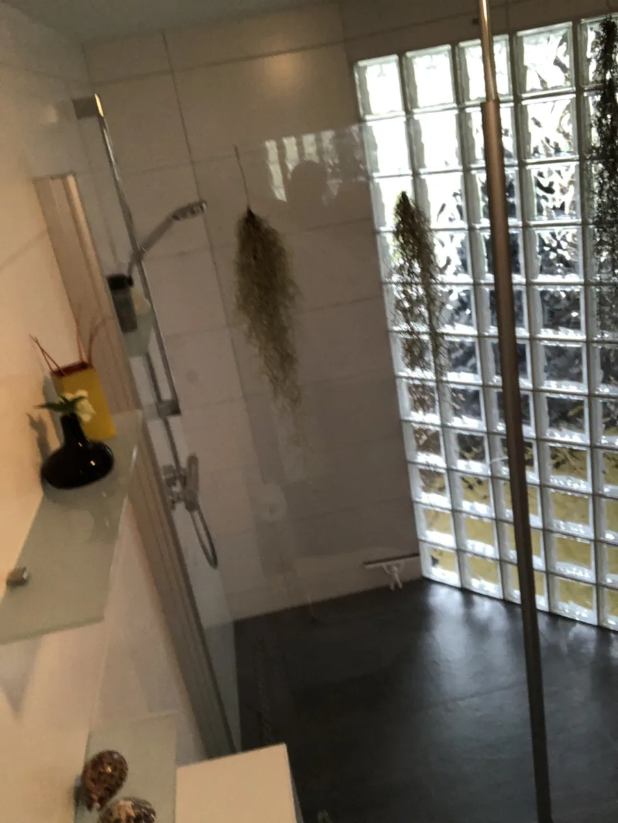 Inpandige badkamer vergroot met glasblokken – retro stijl – Bunnik