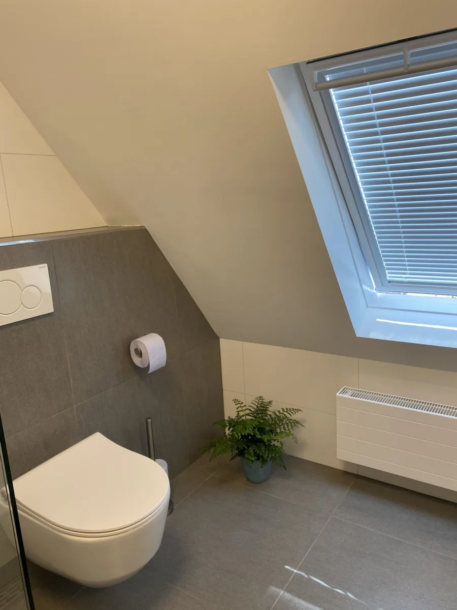 Badkamer met schuine kap en gastentoilet – modern stijl – Ede (foto 6)