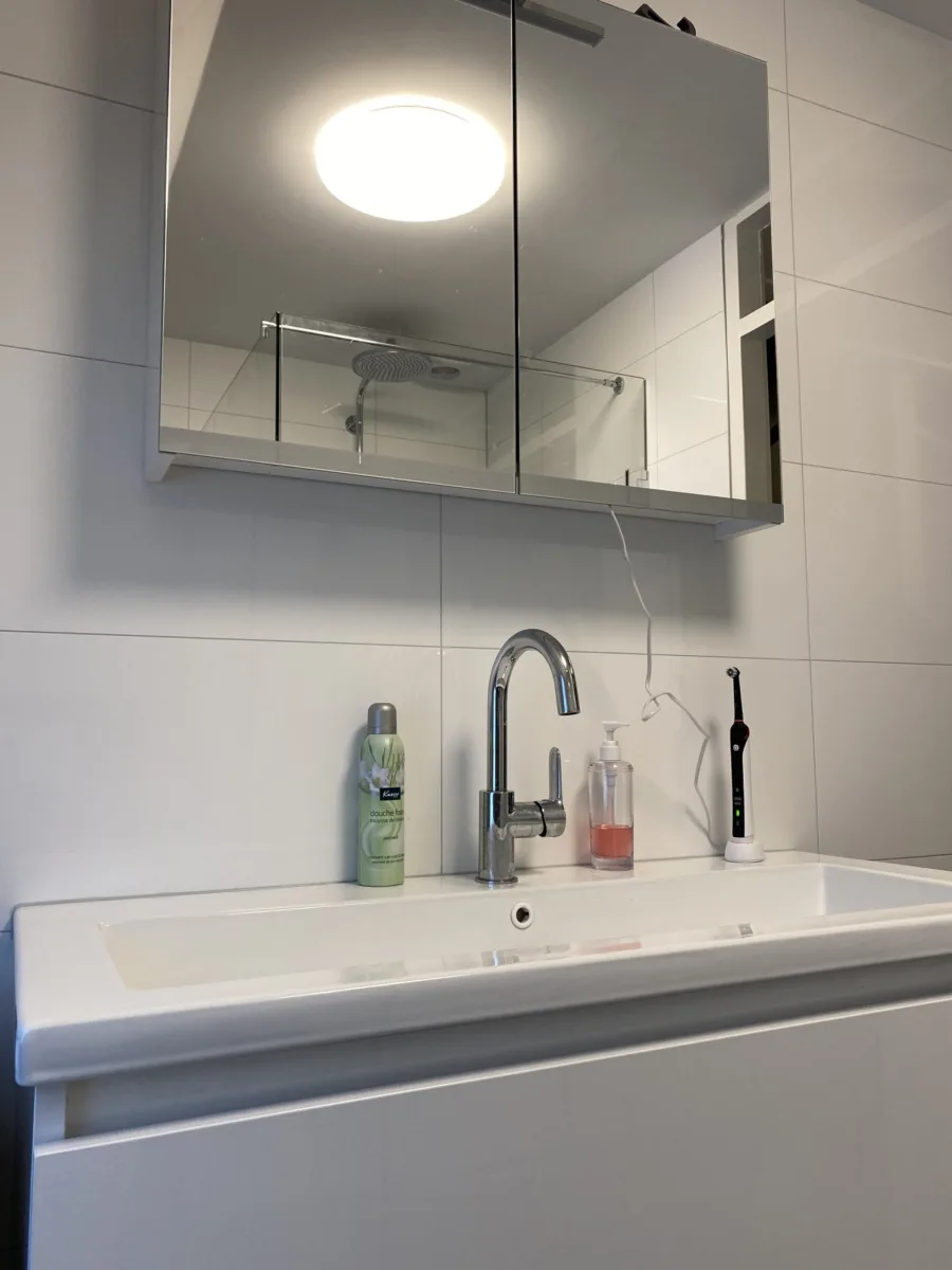Badkamer met schuine kap en gastentoilet – modern stijl – Ede (foto 7)