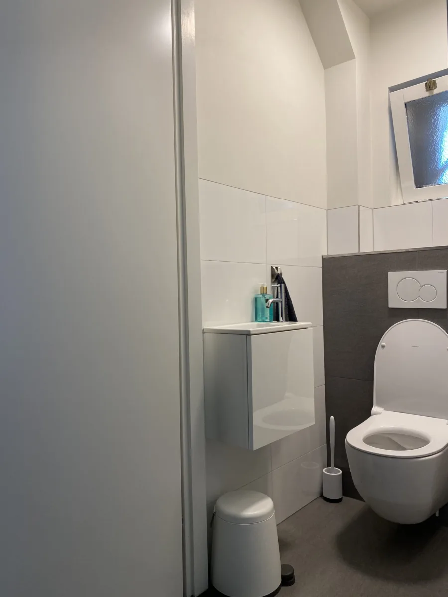 Badkamer met schuine kap en gastentoilet – modern stijl – Ede (foto 8)