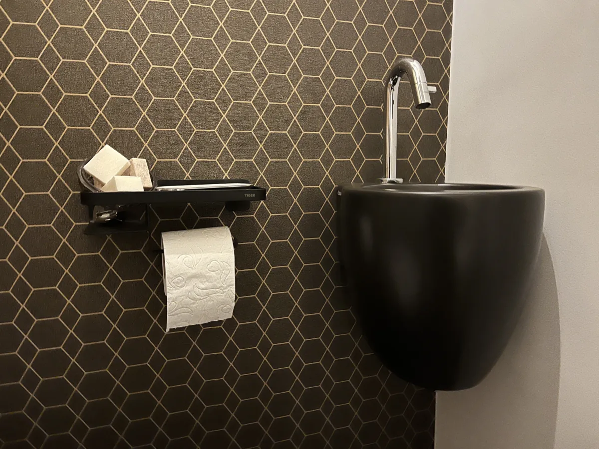 Toiletruimte met Geberit Sela aquaclean douchewc – modern stijl – Leersum (foto 4)
