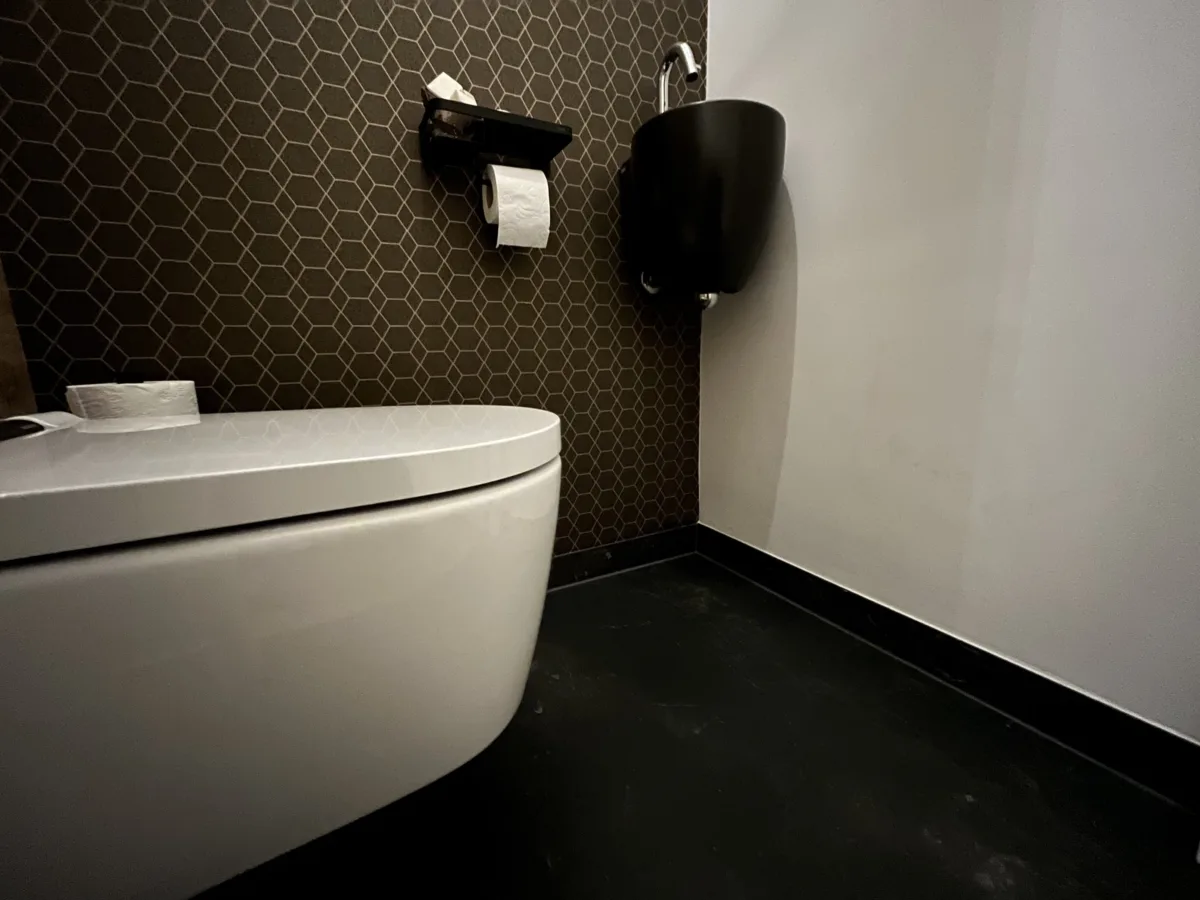 Toiletruimte met Geberit Sela aquaclean douchewc – modern stijl – Leersum (foto 8)