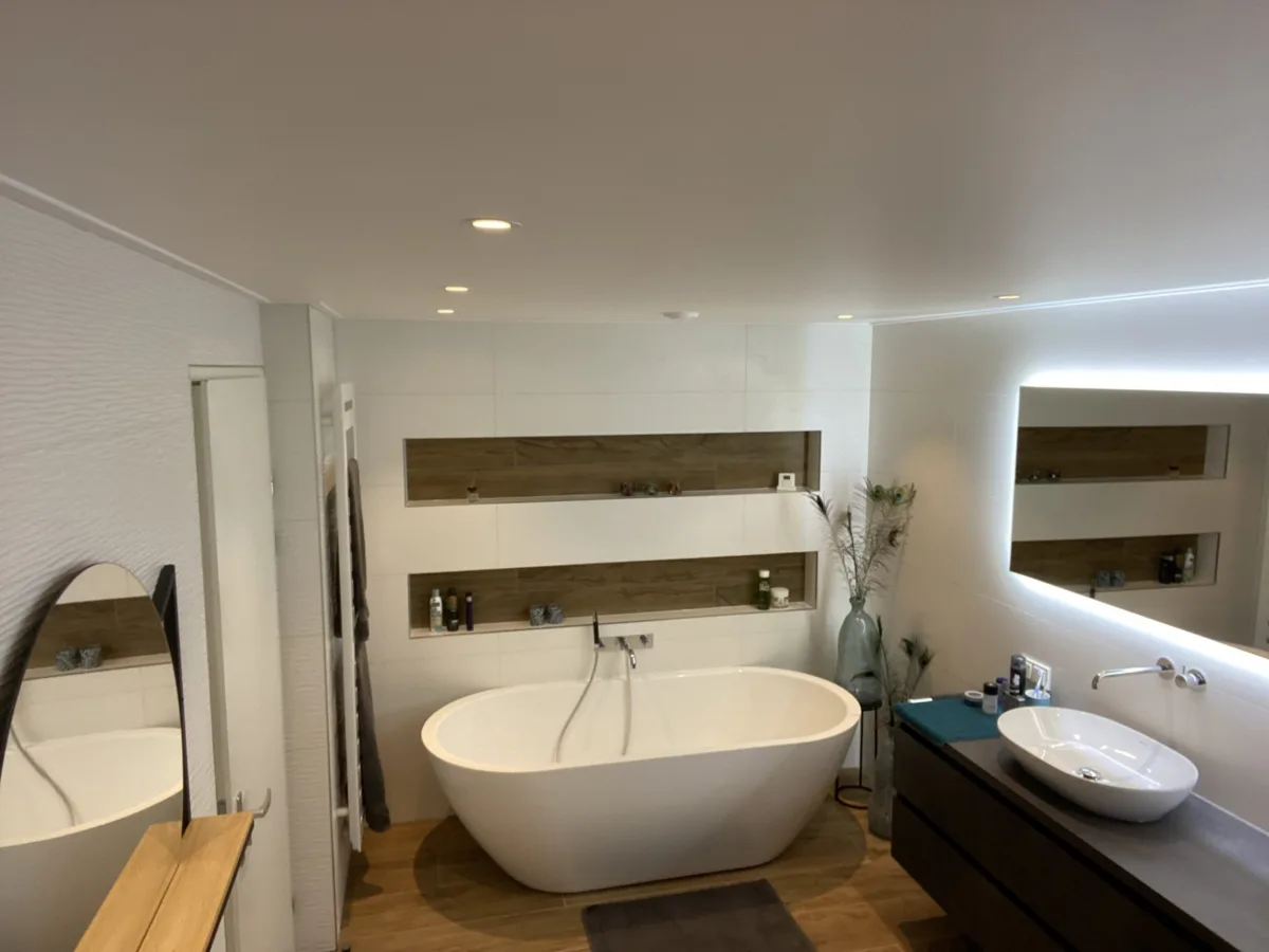 Badkamer souterrain en twee toiletruimtes – badkamers met hout stijl – Rhenen (foto 3)