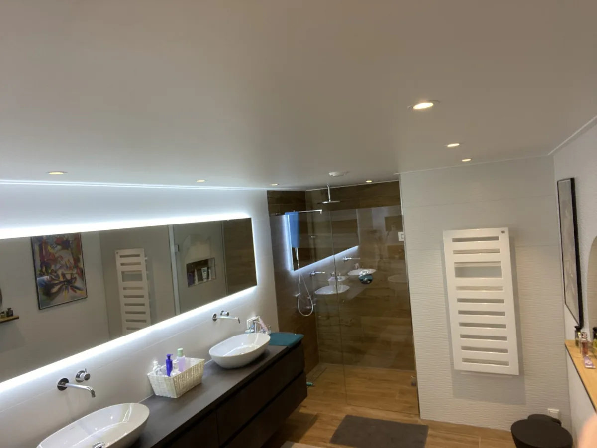 Badkamer souterrain en twee toiletruimtes – badkamers met hout stijl – Rhenen (foto 4)