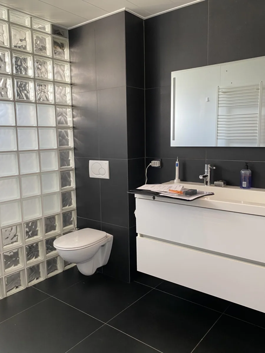 Badkamer greige – warmer gemaakt (was zwart-wit) – modern stijl – Elst (foto 10)