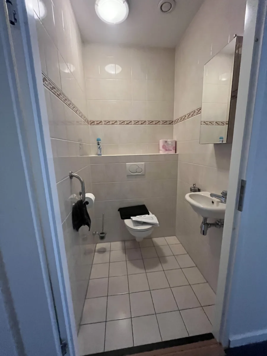 Badkamer met blauwe accenten en inloopdouche met grijs rookglas – modern stijl – Elst (foto 19)