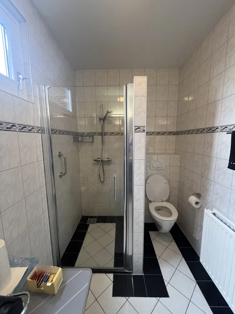 Badkamer met blauwe accenten en inloopdouche met grijs rookglas – modern stijl – Elst (foto 14)