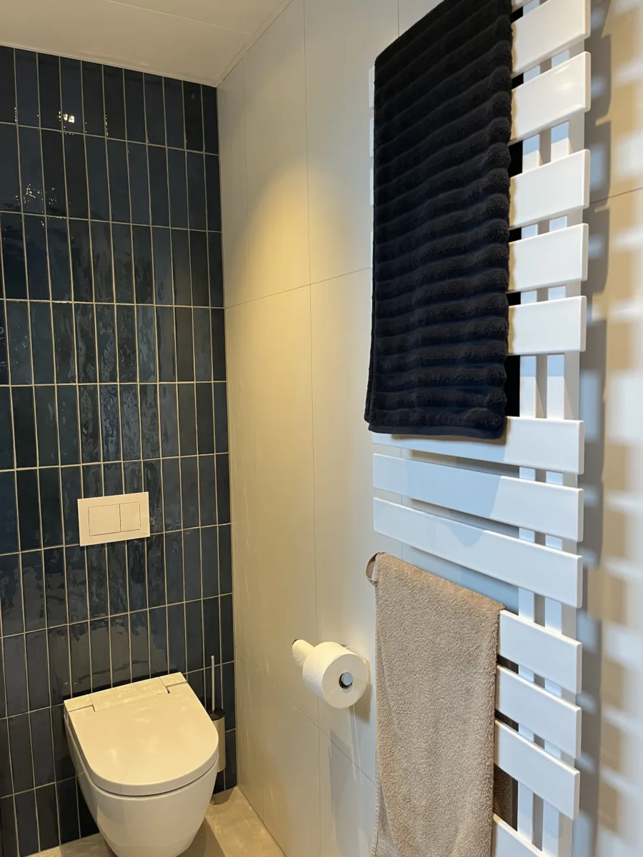 Badkamer met blauwe accenten en inloopdouche met grijs rookglas – modern stijl – Elst (foto 10)