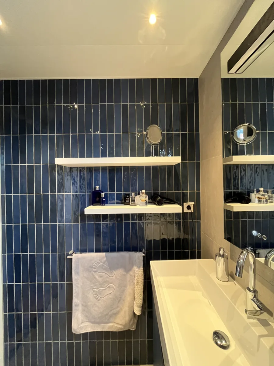 Badkamer met blauwe accenten en inloopdouche met grijs rookglas – modern stijl – Elst (foto 7)