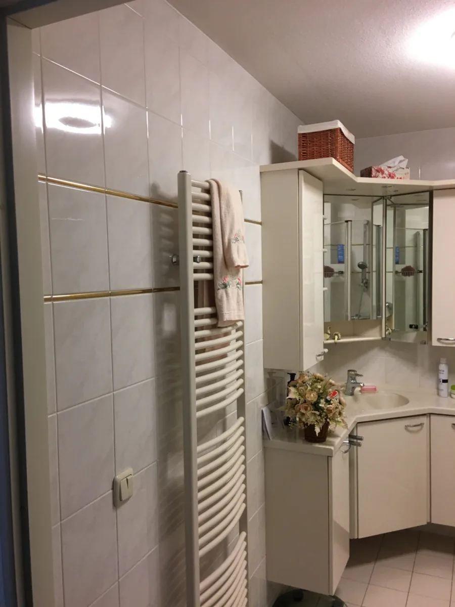 Badkamer met inloopdouche met plafond stabilisatie – ergonomisch stijl – Wageningen (foto 10)