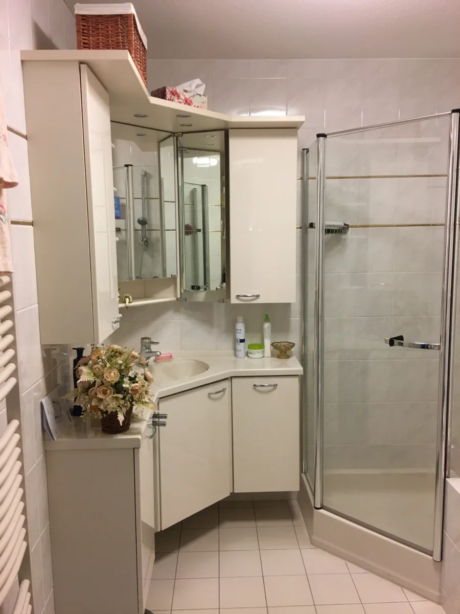 Badkamer met inloopdouche met plafond stabilisatie – ergonomisch stijl – Wageningen (foto 9)