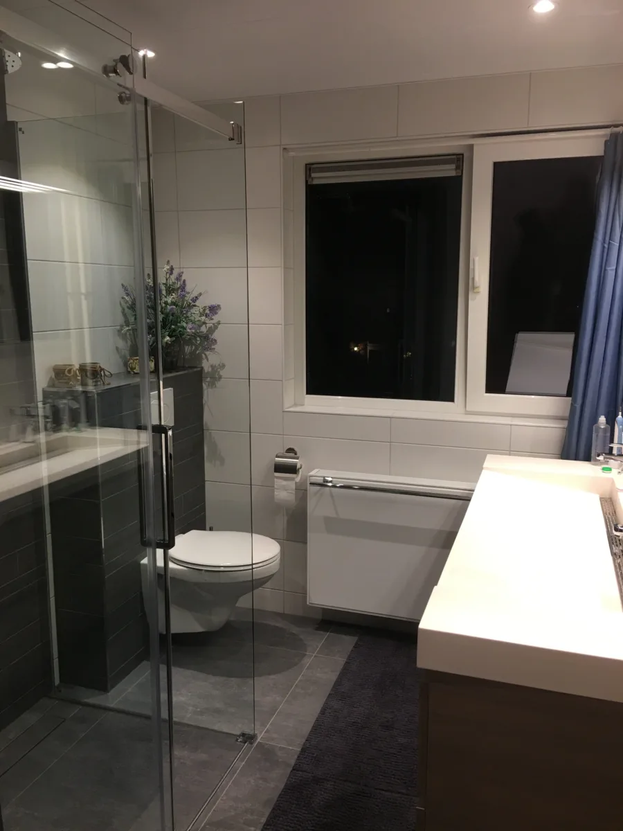 Compact budget badkamer – modern stijl – Wageningen (foto 3)