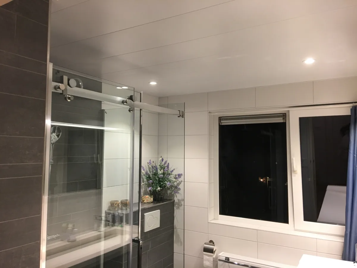 Compact budget badkamer – modern stijl – Wageningen (foto 4)