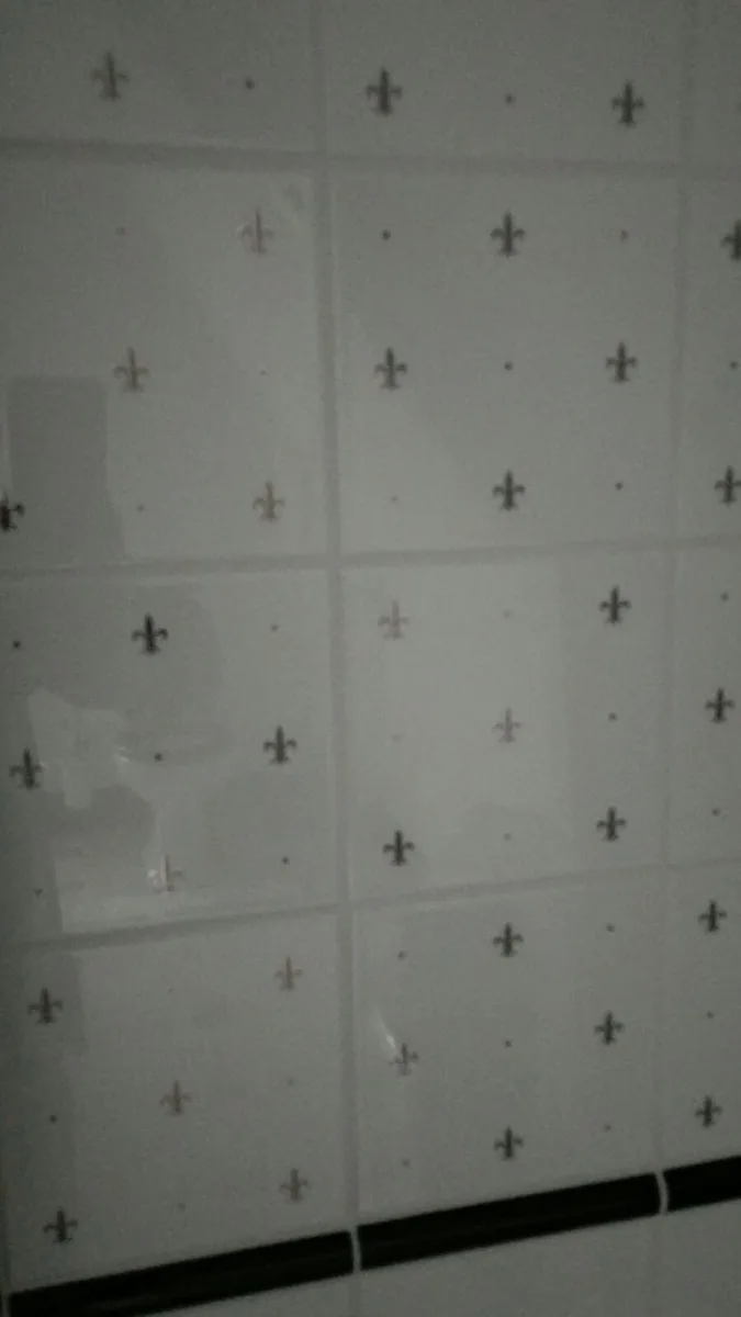 Klassieke 2e badkamer (foto 6)